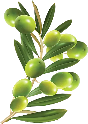 Олива- доставка еды